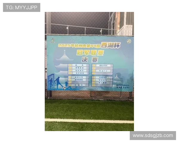 杭州足球队在邀请赛中的状态分析与表现评估