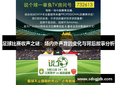 足球比赛收声之谜：场内外声音的变化与背后故事分析