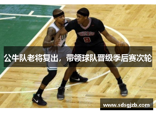 公牛队老将复出，带领球队晋级季后赛次轮