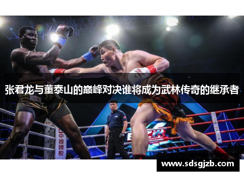 张君龙与董泰山的巅峰对决谁将成为武林传奇的继承者