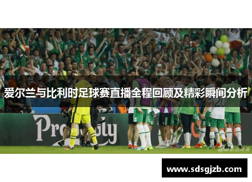 爱尔兰与比利时足球赛直播全程回顾及精彩瞬间分析