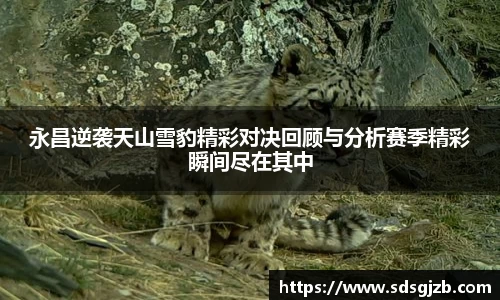 永昌逆袭天山雪豹精彩对决回顾与分析赛季精彩瞬间尽在其中