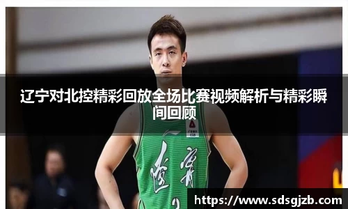 辽宁对北控精彩回放全场比赛视频解析与精彩瞬间回顾